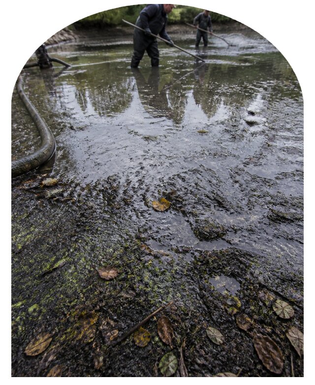 Очистка пруда в Муравленке от ила мусора и водорослей с вывозом